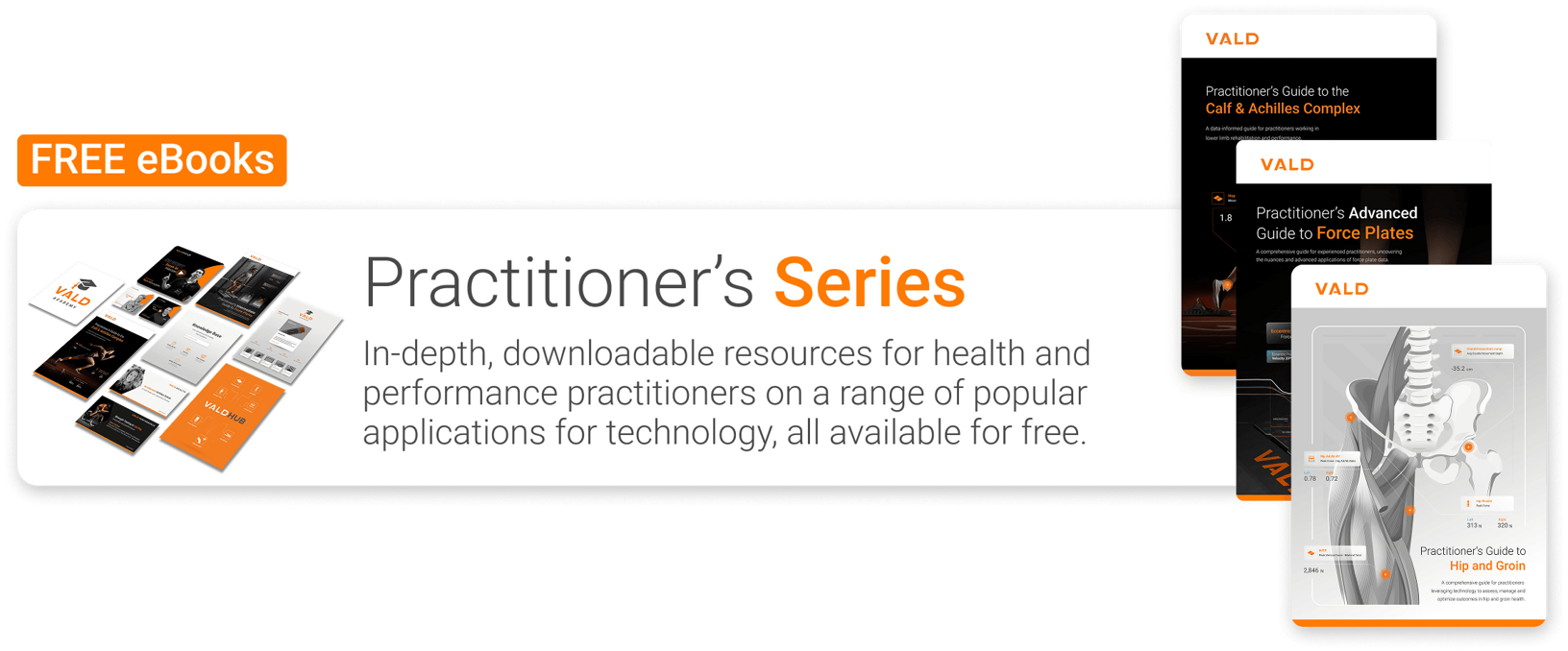 Practitioners series