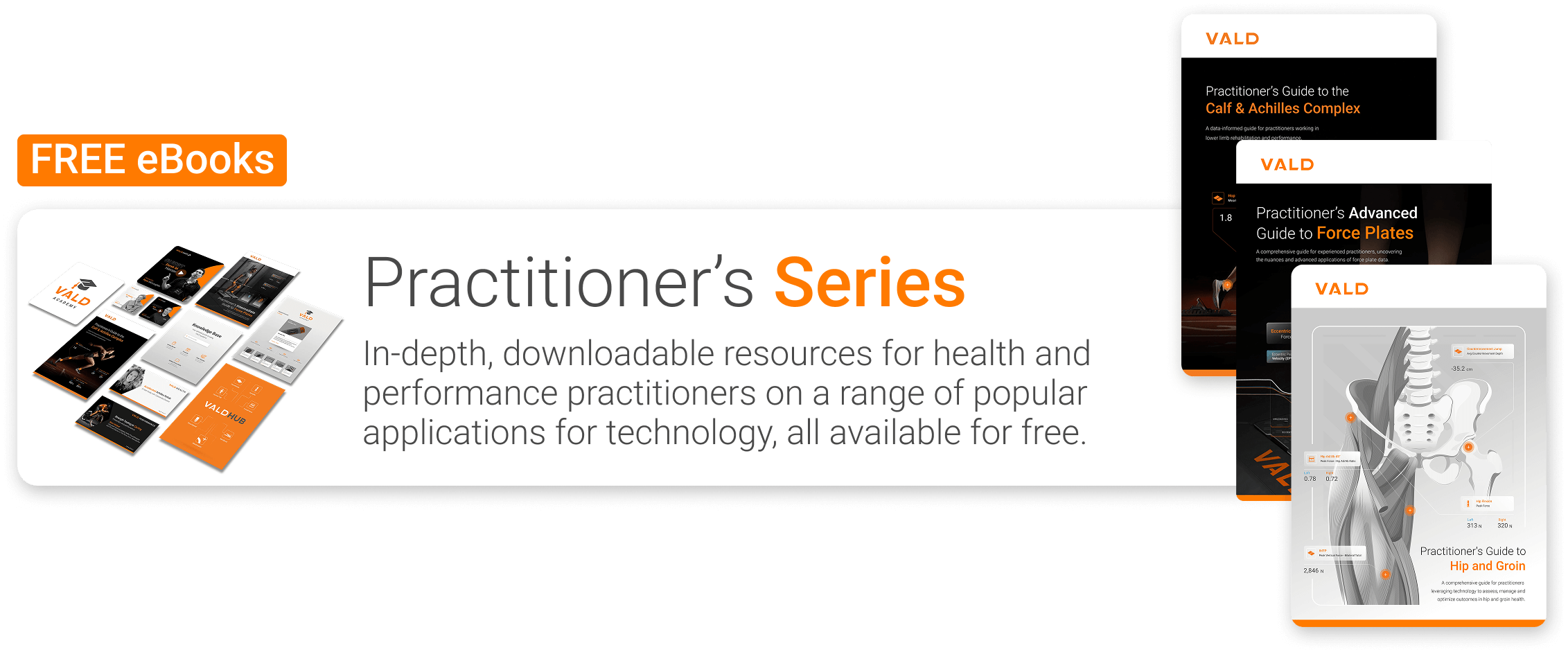 Practitioners series