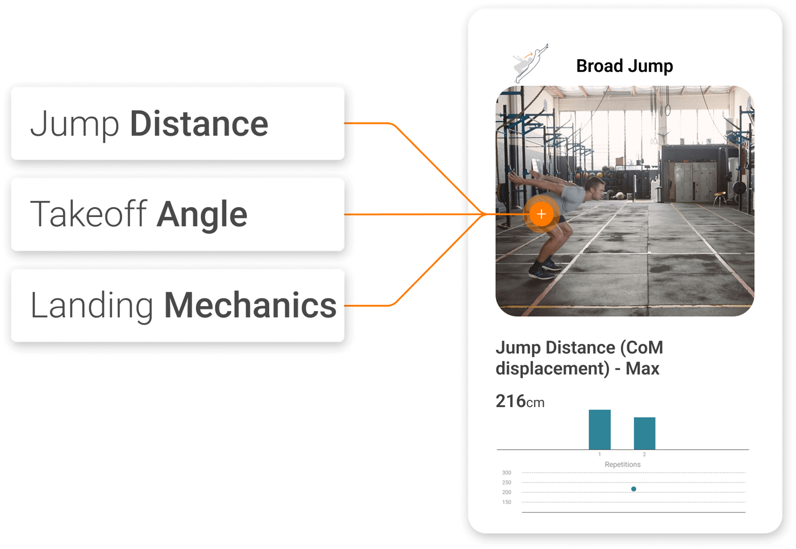 Three key components of horizontal jumping