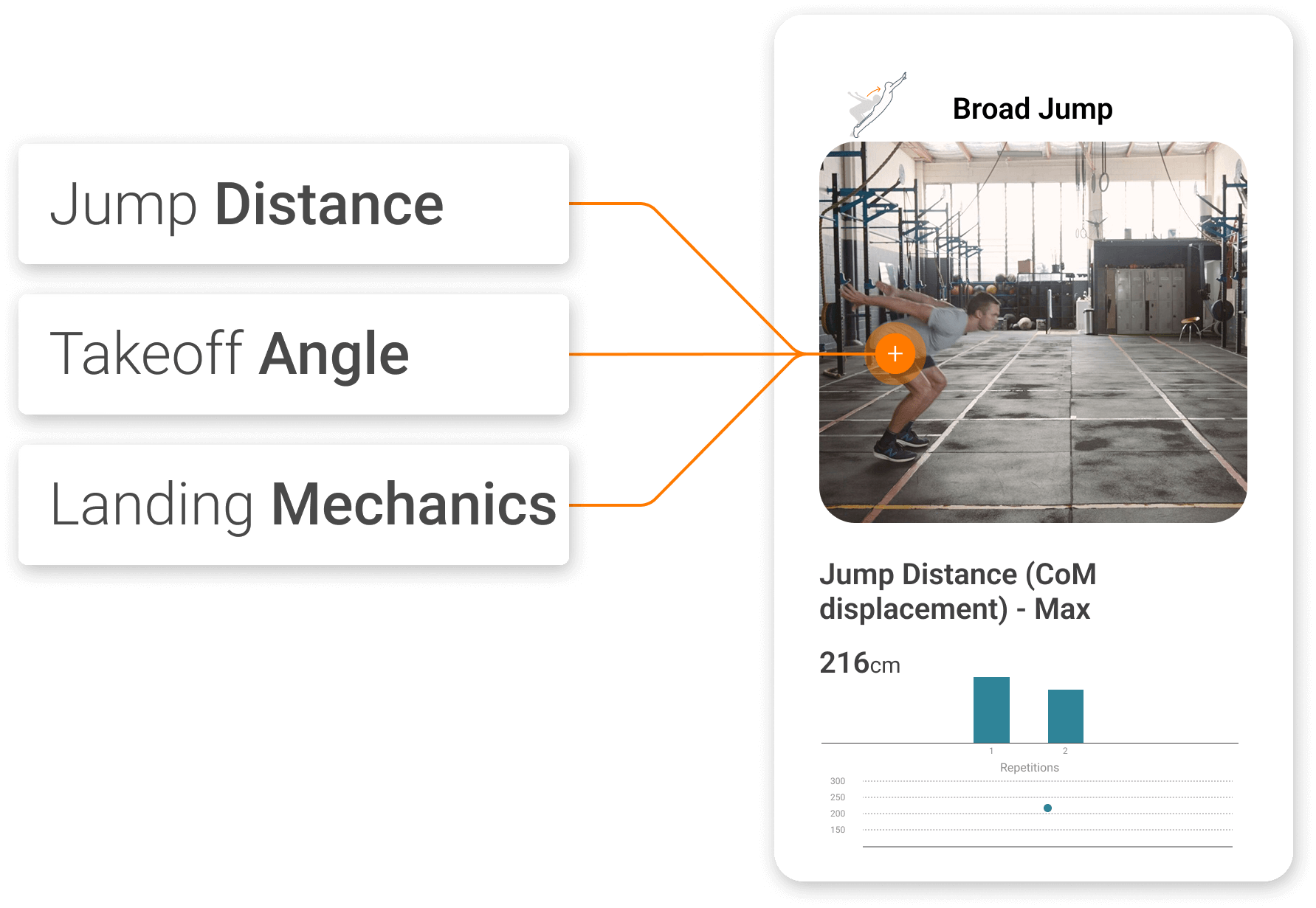 Three key components of horizontal jumping