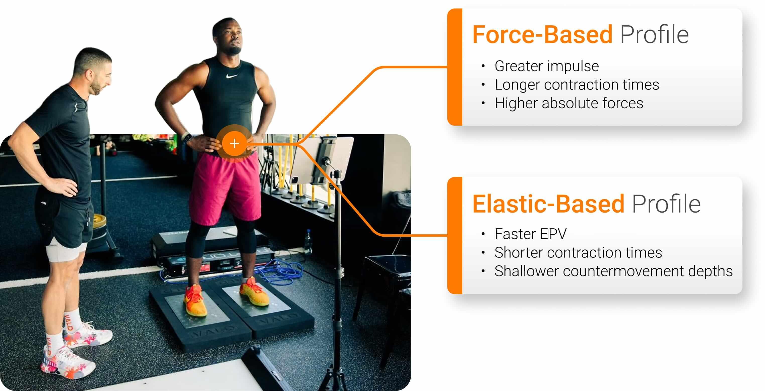 Force-Based Profile vs. Elastic-Based Profile