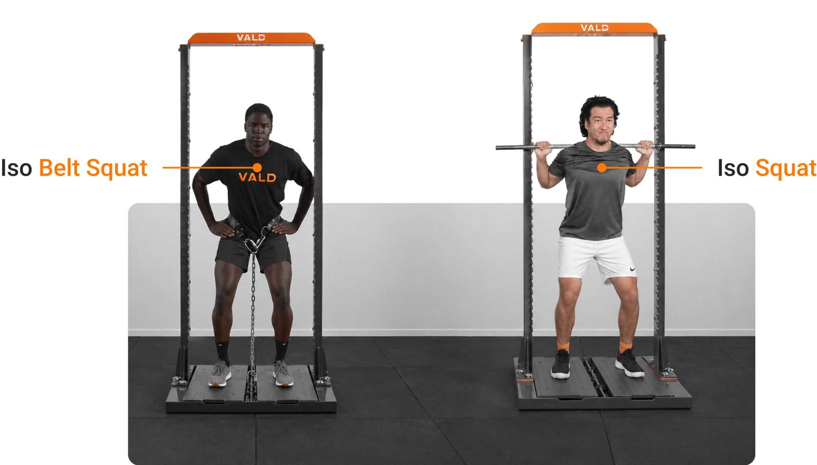 Iso Belt Squat and Iso Squat