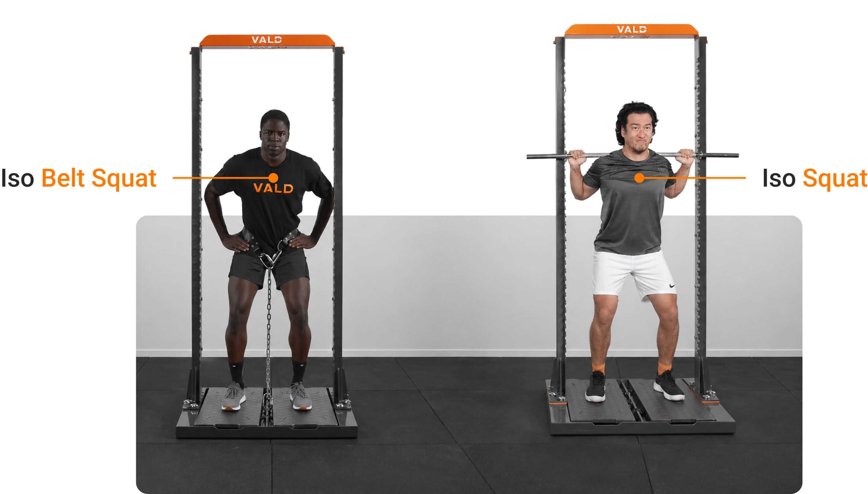 Iso Belt Squat and Iso Squat