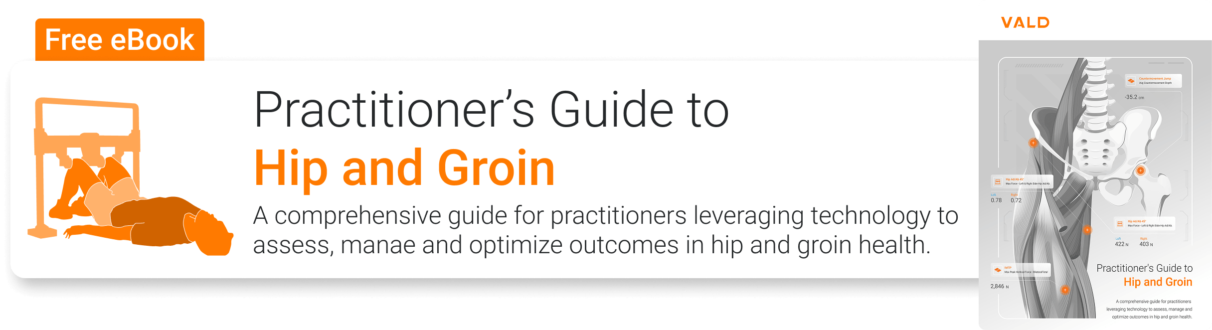 Practitioner’s Guide to Hip and Groin
