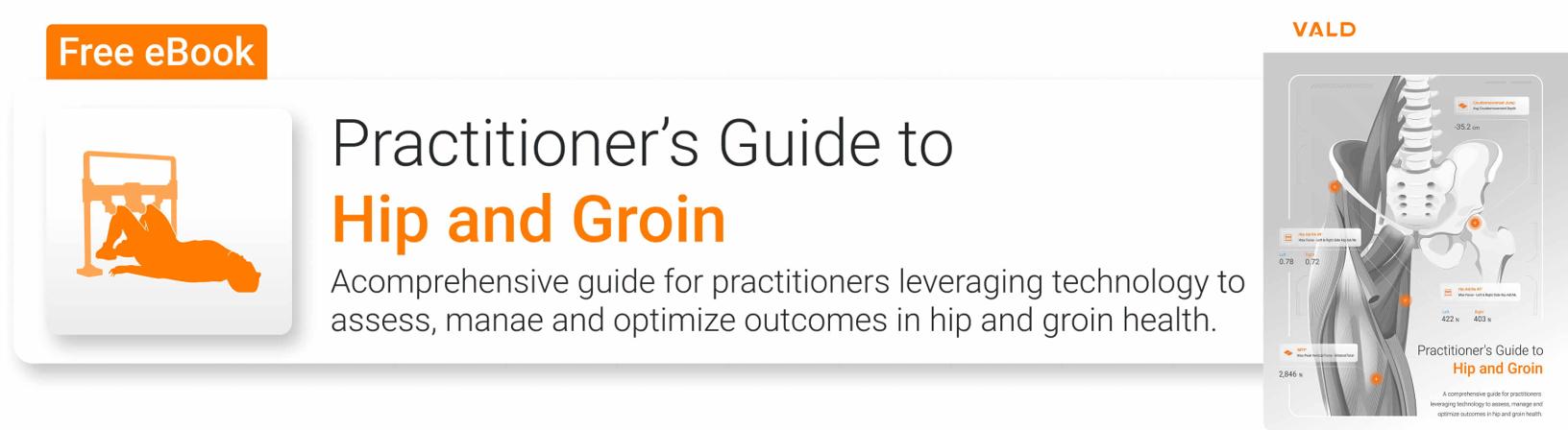 Practitioner's Guide to Hip and Groin