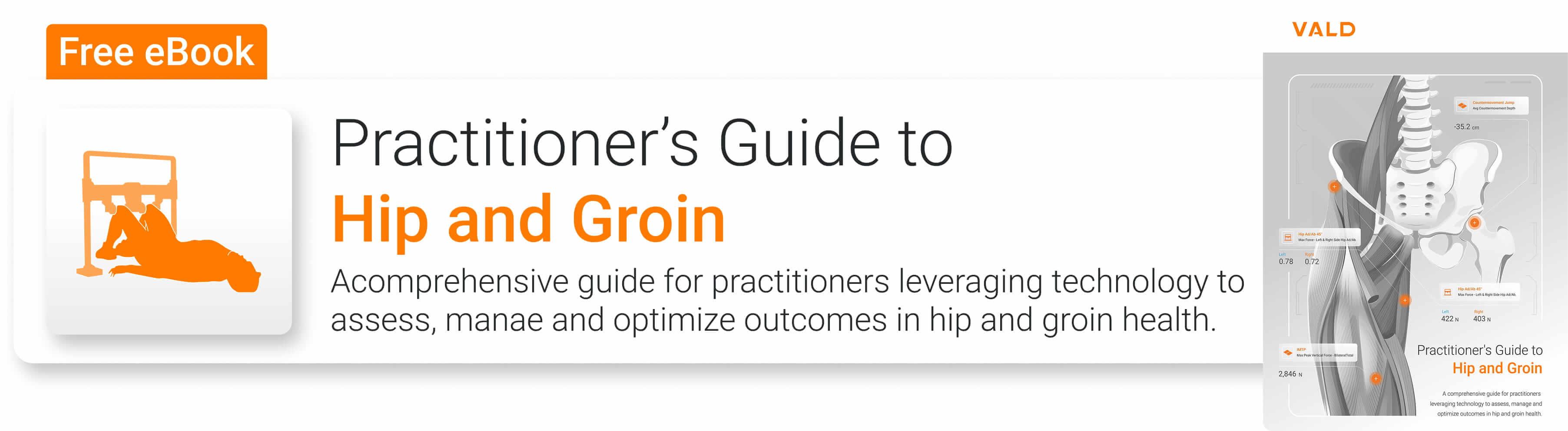 Practitioner's Guide to Hip and Groin