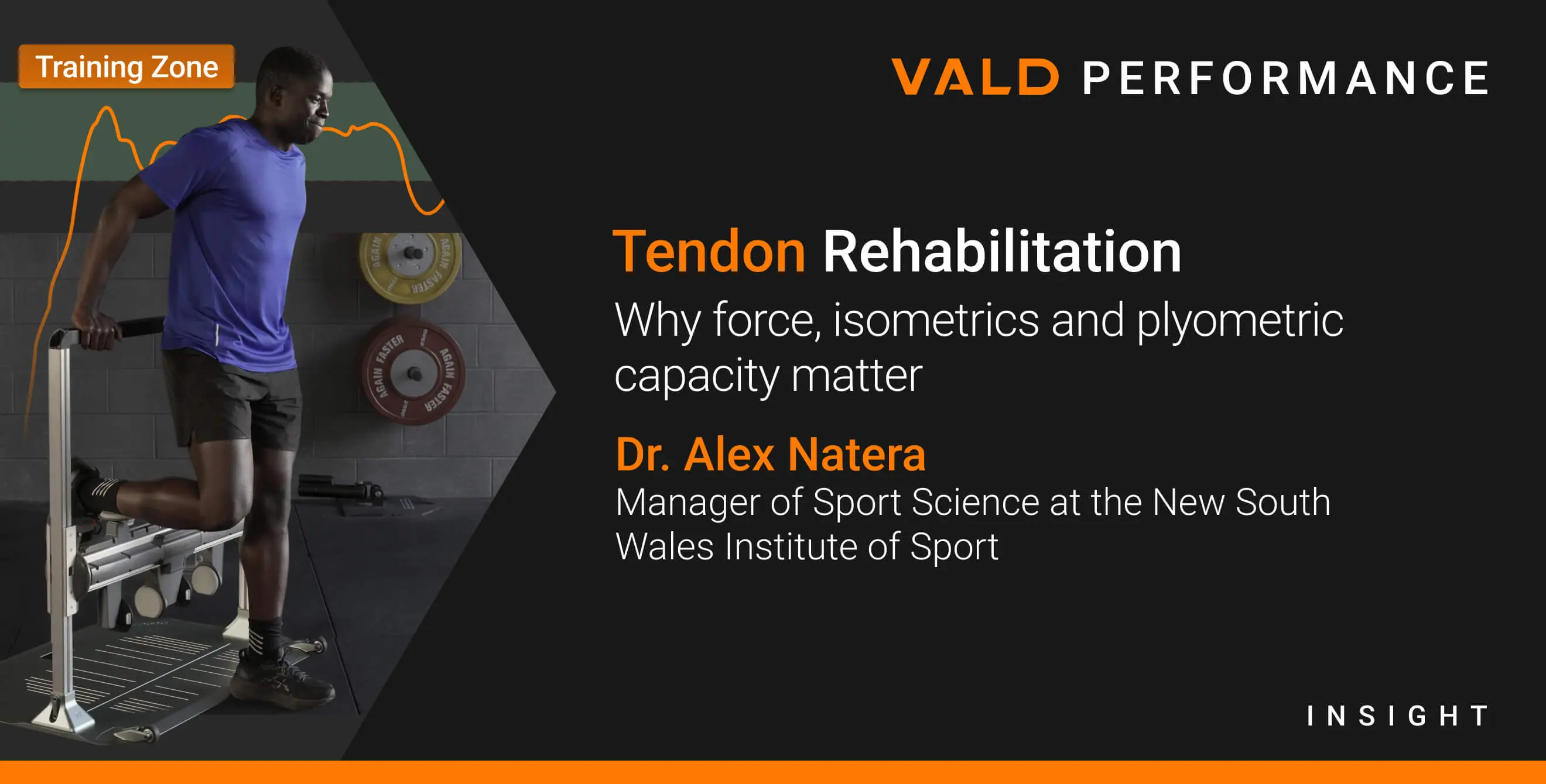 Tendon Rehabilitation: Why Force, Isometrics and Plyometric Capacity Matter