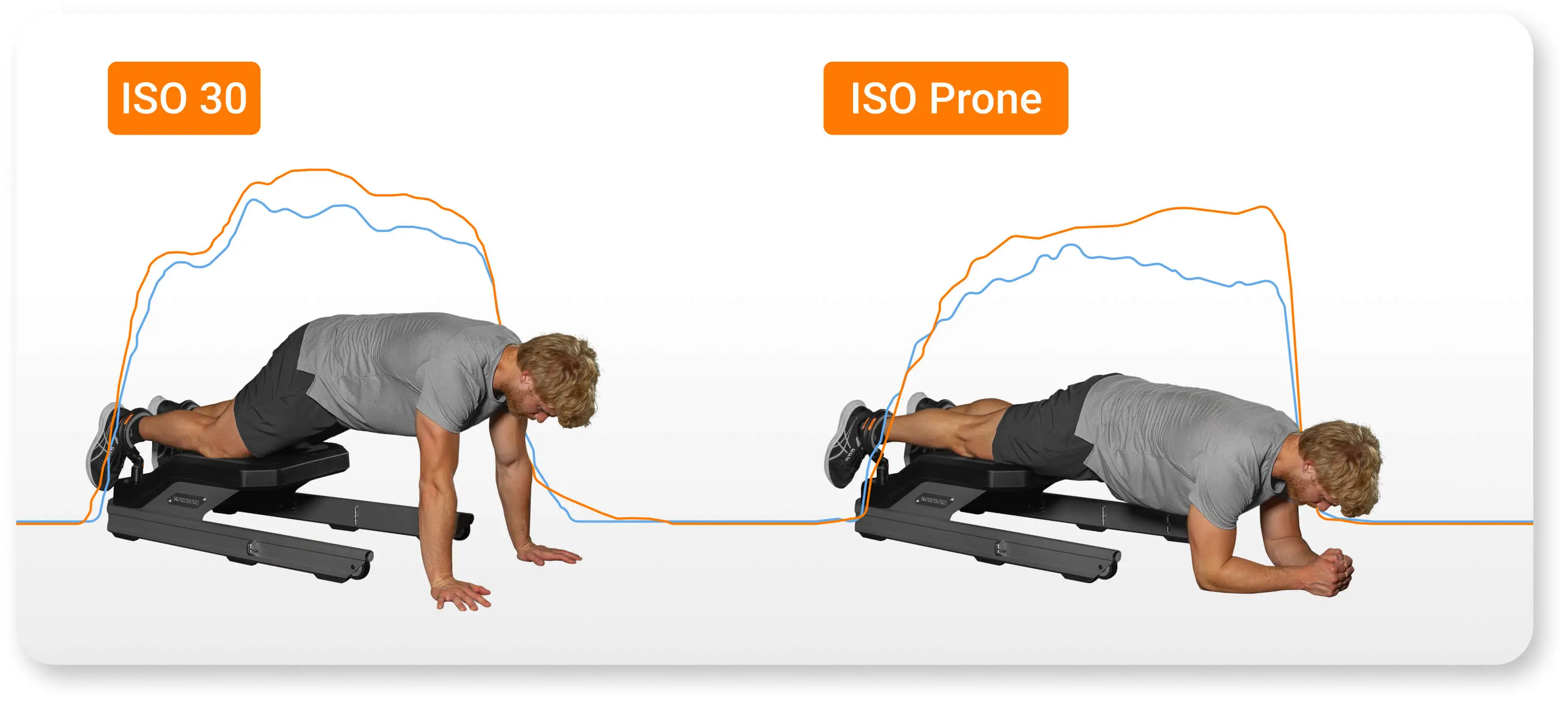 Test positions for the ISO 30 and ISO Prone, replicated from Taylor et al. (2025).