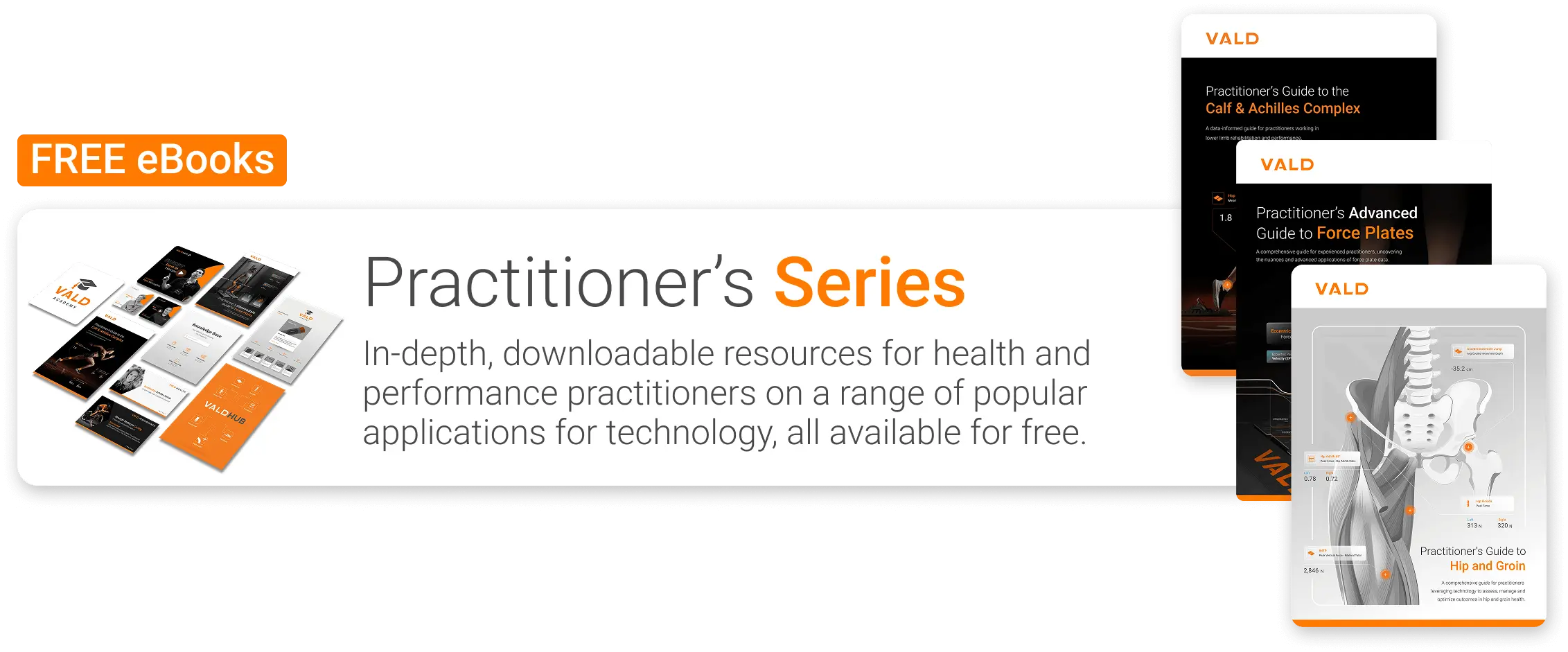 Practitioners series