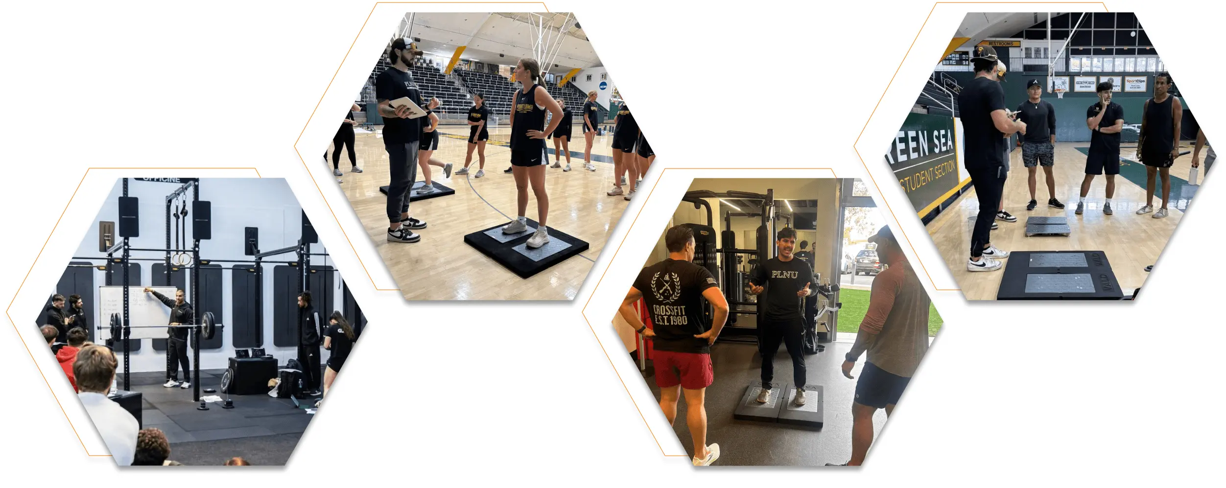 Students learning and performing ForceDecks assessments in the lab and with PLNU Athletics.