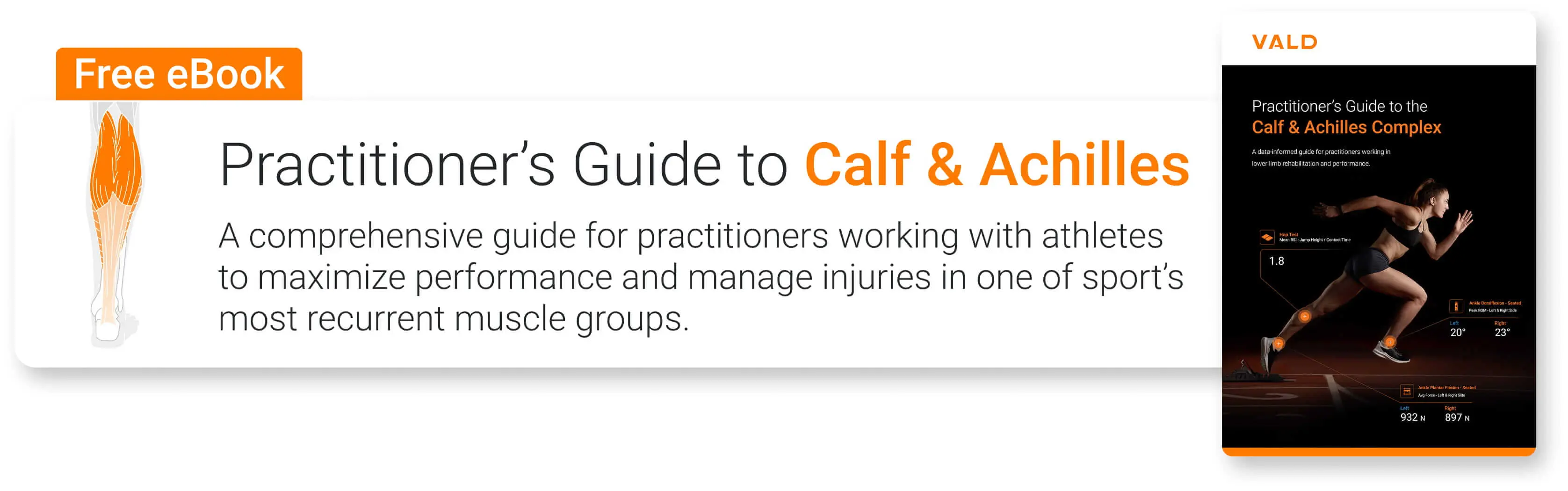 Practitioner’s Guide to the Calf and Achilles Complex