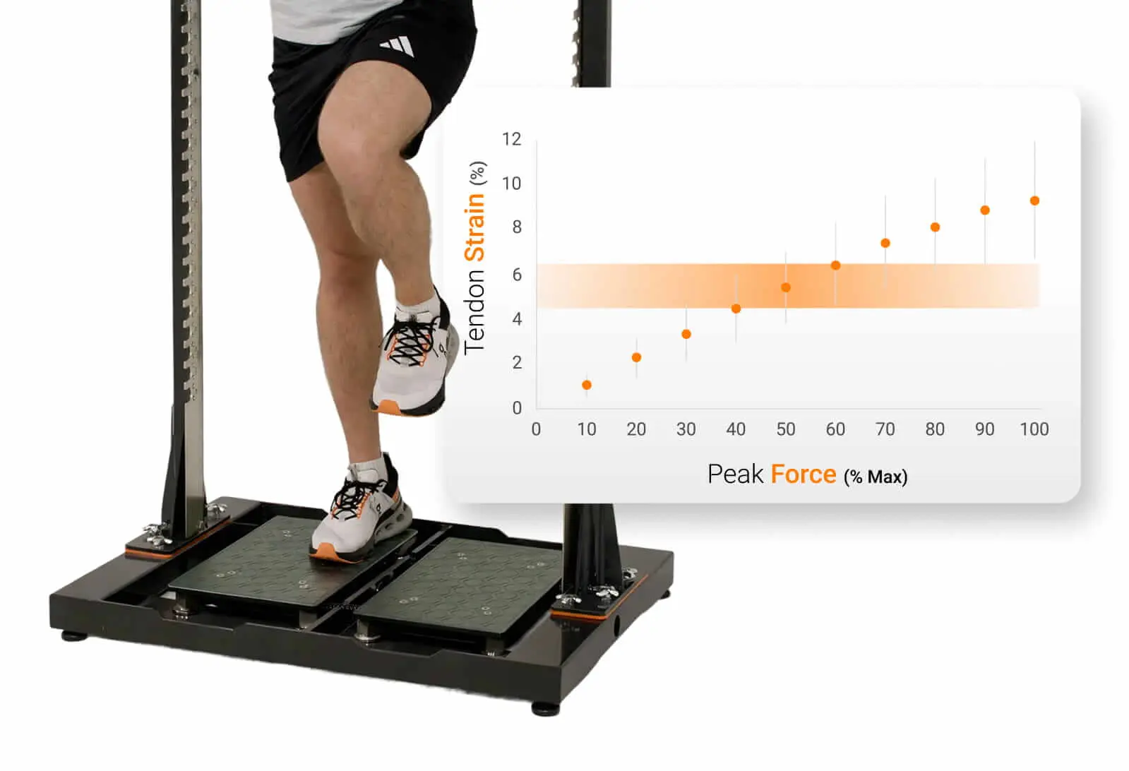Isometric loads and optimal zone of tendon strain (Merry et al., 2022).