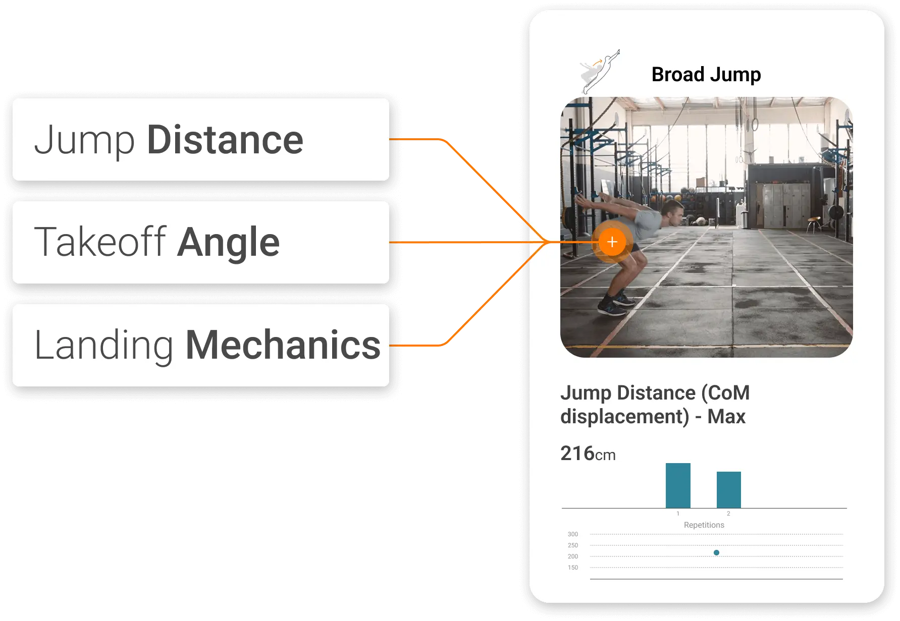 Three key components of horizontal jumping