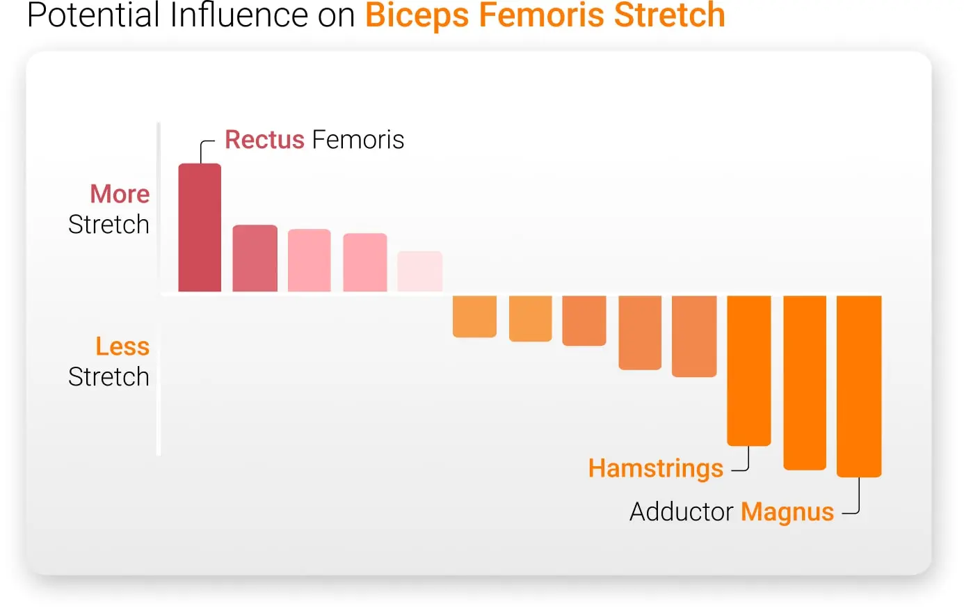 Potential Influence On Right Biceps Femoris Stretch
