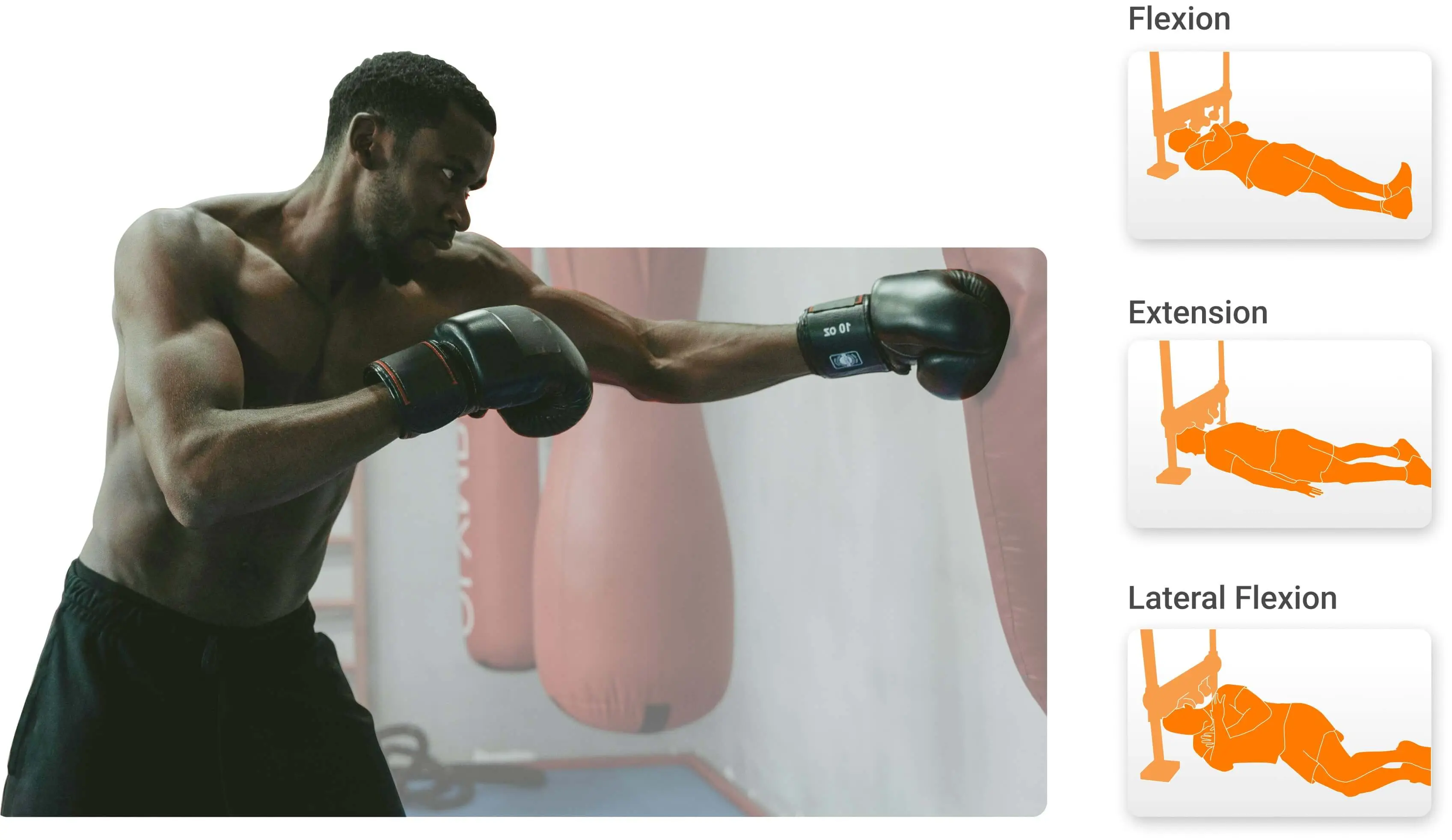 Athlete training for combat sports demonstrating the need for integrated neck coupling strength assessments.