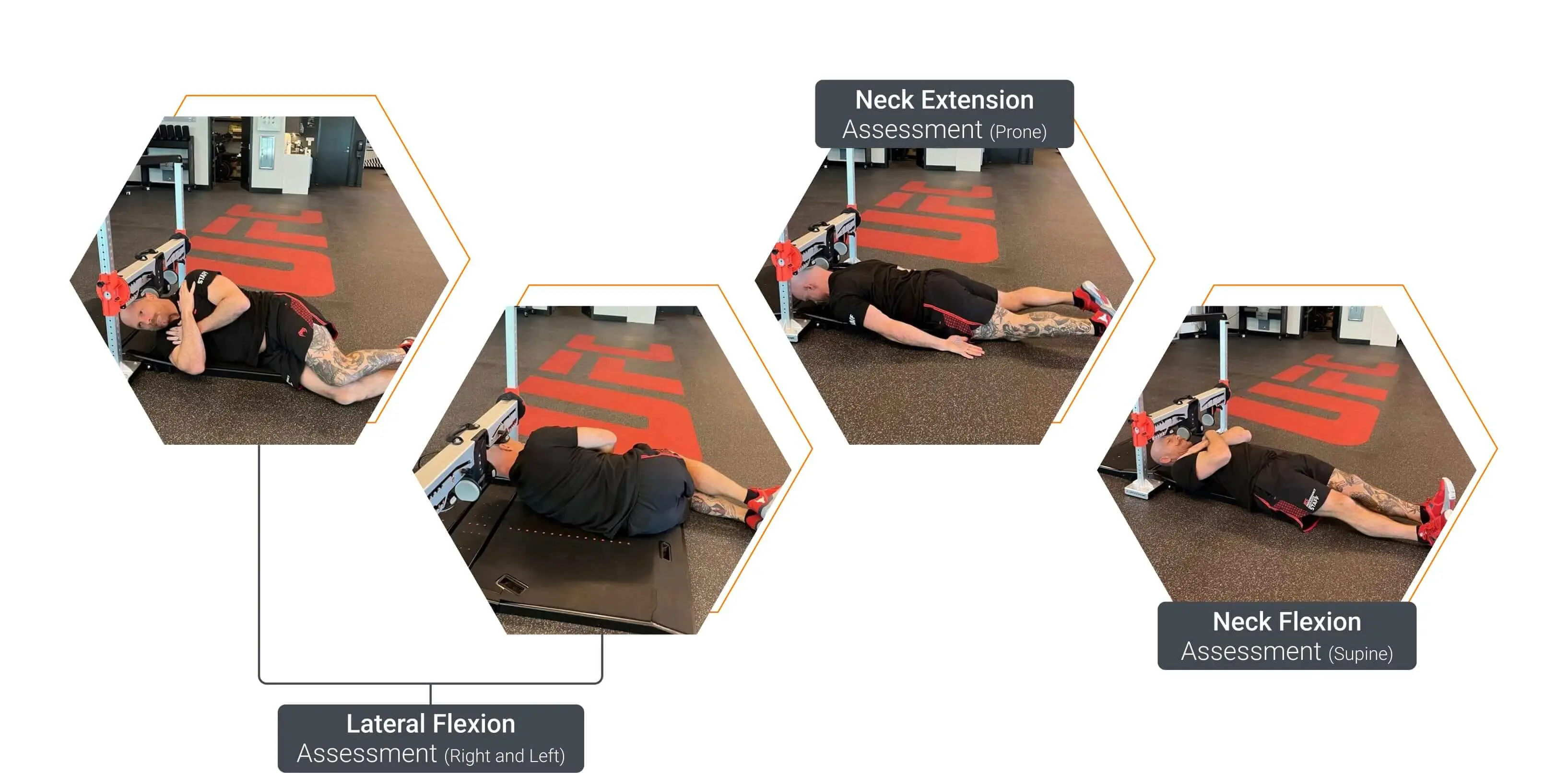 Neck coupling strength assessments using ForceFrame Fold.