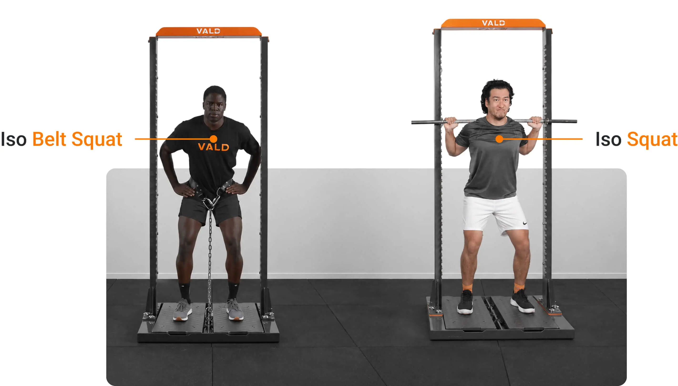 Iso Belt Squat and Iso Squat