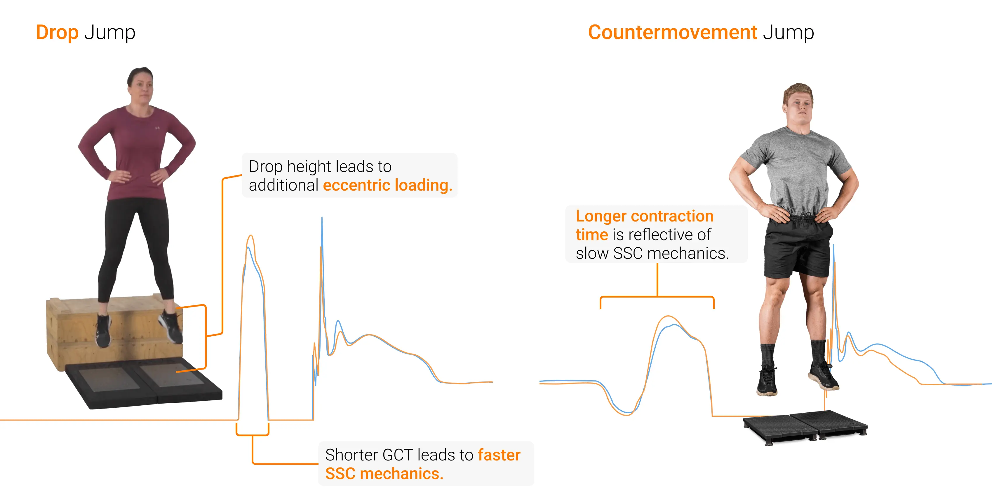 Unique force-time characteristics separating the DJ and CMJ.